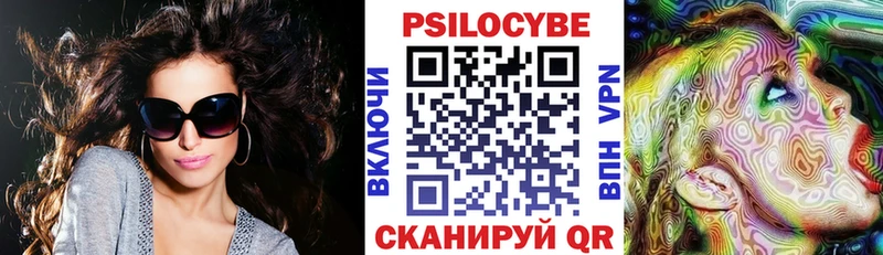 Псилоцибиновые грибы мицелий  купить наркоту  Камызяк 