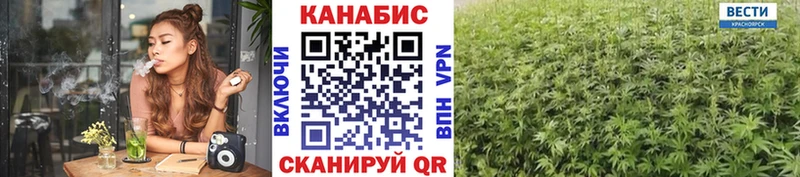 закладка  Камызяк  Конопля MAZAR 
